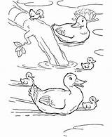 Pond Coloring Duck Swimming Baby Ducks Animal Farm Pages Drawing Color Animals Drawings Kids Sheets Netart Print Printable sketch template