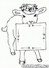 Cartello Corona Agnello Testa Cordero Goats Colorare Lamm Pecora Colorkid Malvorlagen Ovejas Cabras Kranz Kopf Jagnięcina Głowie Animali Coloradisegni Lamb sketch template