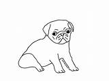 Pug Coloring Pages Printable Puppy Cute Drawing Dog Pugs Kids Draw Book Line Adult Color Drawings Print Animals Puppies Getcolorings sketch template