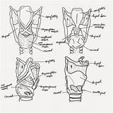 Larynx Slp Pathology Slpa sketch template