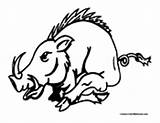 Boar Coloring Pages Boars Designlooter Colormegood Animals sketch template