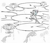 Pond Coloring Pages Animals Habitat Printable Drawing Fish Scene Sketch Plants Ponds Color Habitats Lily Getdrawings Print Getcolorings Sketchite Template sketch template