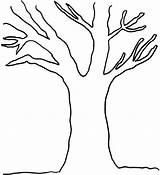 Tree Coloring Pages Leaves Without Bare Branch Branches Clipart Drawing Trunk Printable Line Leaf Template Trees Outline Government Print Kids sketch template