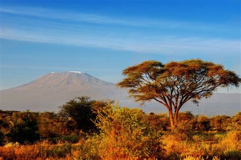 informacion basica sobre el kilimanjaro nomadatrek