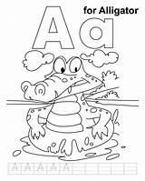 Alligator Coloring Pages Practice Handwriting Kids Letter Worksheets Printable Preschool Jumbo Colouring Apple Alphabet Alligators Print Popular Info sketch template