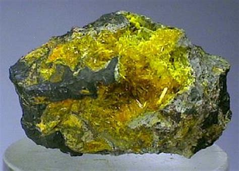 uranium   natural resource       earths crust