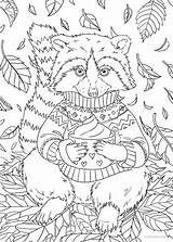 Raccoon Favoreads Racoon Adulte Enfant sketch template