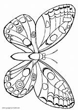Coloring Pages Butterfly Printable Insect sketch template