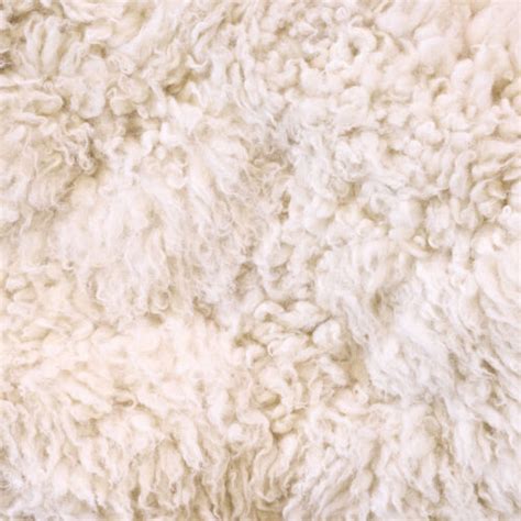 buy raw fleece  wool ebay