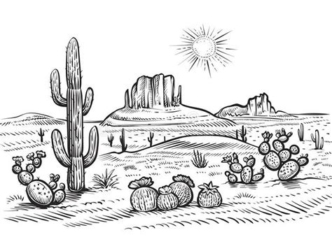 desert tarantula coloring page  printable coloring pages  kids