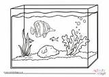Colouring Aquarium Activityvillage sketch template