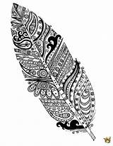 Plume Zentangle Coloriage Ludinet Coloriages Adultes sketch template