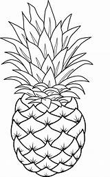 Pineapples Piña Frutas Coloringpages234 Gravado Fruta sketch template