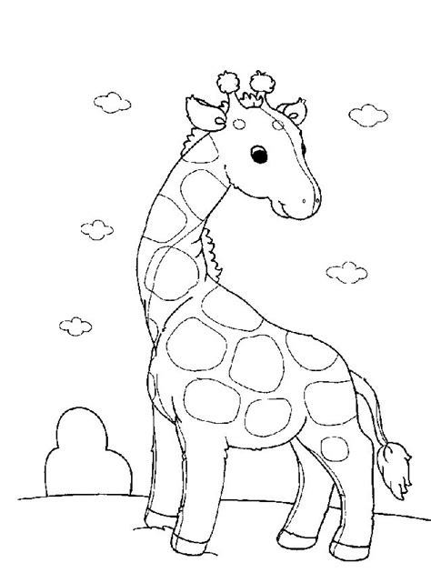 kids zoo printables coloring pages clip arts images  pinterest