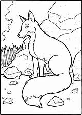 Fox Coloring Pages Printable Colouring Shape Terry Templates Cute Animal Crafts sketch template