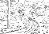 Forest Habitat Drawing Sketch Illustration Animals Habitats Road Drawings Vector Graphic Paintingvalley Landscape sketch template