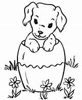 Coloring Pages Dog Chihuahua Colouring Puppy Easter Kids Cute Pottery Inside Beverly Print Colour Hills Girls Printable Sheets Dogs Color sketch template