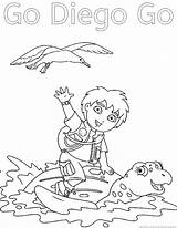 Go Diego Coloring Turtles Sitting Back Pages Color Netart Print sketch template