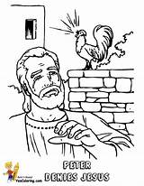 Denies Faithful Yescoloring Rooster Denied Follows Bibel sketch template