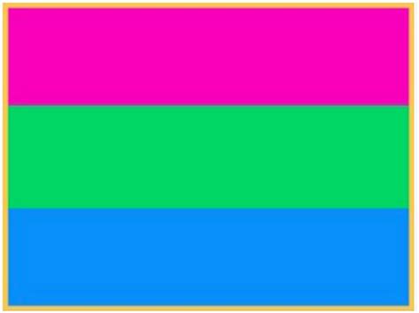 polysexual flag lapel pin qx shop