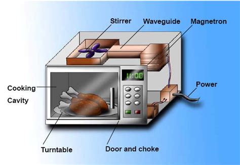 generally shouldnt put metals   microwave