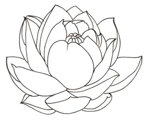 lotus flower coloring pages printable