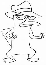 Perry Platypus Coloring Pages sketch template