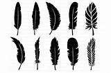 Feather Svg Feathers Boho Clipart Silhouette Cricut Bundle Doodle Cameo Cut Included Studio Svgs Cloud Thehungryjpeg Cart Crow Flowers Add sketch template