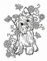 Yorkie Terrier Coloring Pages Elsharouni Cindy Dog Yorkshire Puppy Print Cute Adult Animal Bulldog Printable Painting Fineartamerica Sheets Choose French sketch template
