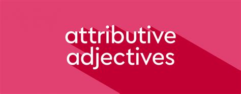 attributive adjective thesauruscom