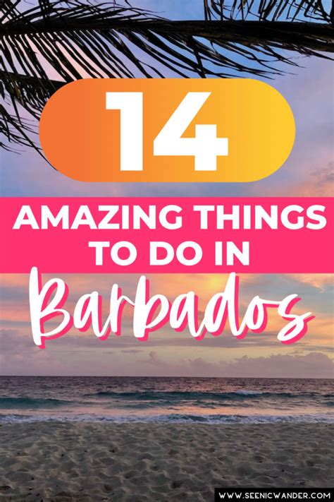 Dont Miss These 14 Fun Things To Do In Barbados See Nic Wander