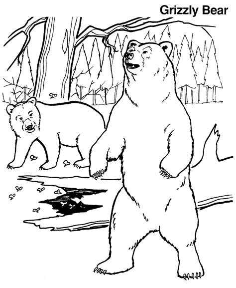 grizzly bear coloring page animals town animals color sheet