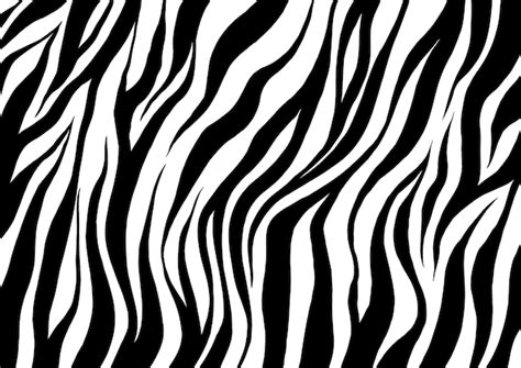 zebra fur texture background  vector template imgpanda