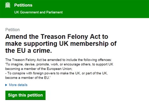 tory councillor christian holliday suspended  brexit treason petition metro news