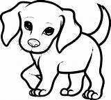 Beagle Puppy sketch template