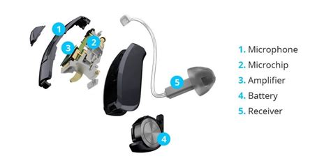 hearing aids  definitive guide