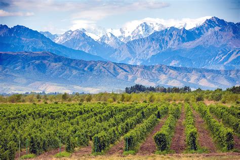 mendoza argentina wine tours attractions time