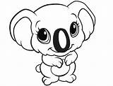 Animal Pages Kids Easy Cute Coloring Drawing Simple Drawings Animals Koala Baby Colouring Little Print Cartoon Template Printable Color Draw sketch template