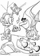 Nemo Ricerca Findet Buscando Dibujo Dory Malvorlagen Colorir Procurando Kolorowanki Animales Doris Hitta Kleurplaat sketch template