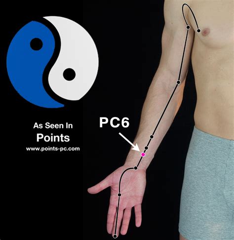 acupuncture point pericardium  pc  acupuncture technology news