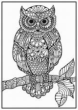 Owl Coloring Pages Mandala Målarbilder Gratis Owls Målarbild Adult Mindfulness Adults Djur Mandalas Bra Book För Vuxna Målarbok Printable Zentangle sketch template