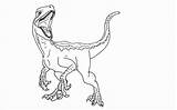 Indominus Jurassic Velociraptor Coloringhome Jet Raptor sketch template