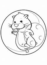 Hamster Coloring Pet Smiling sketch template