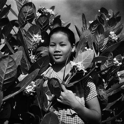 [photos] an exploration into vietnam s history through black and white