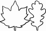 Leaf Template Templates Leaves Printable Fall Patterns Kids Outline Autumn Maple Large Easy Coloring Stencils Cutout Stencil Simple Oak Pattern sketch template
