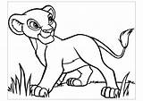 Lion King Simba Coloring Disney Pages Kids Young sketch template