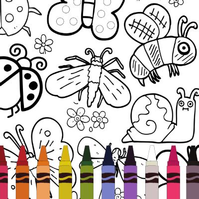 bug coloring page alliance  public schools