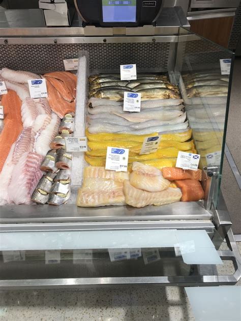 pin   beazley  sea food food seafood counter display