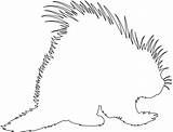 Porcupine Outline Silhouettes Silhouette Vector Coloring Pages sketch template