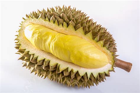 jackfruit  durian ultimate guide   king  tropical fruits
